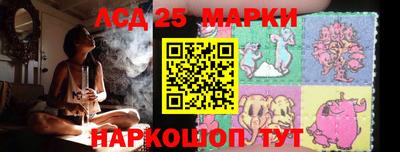 apvp Свободный