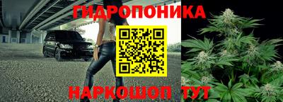 apvp Свободный