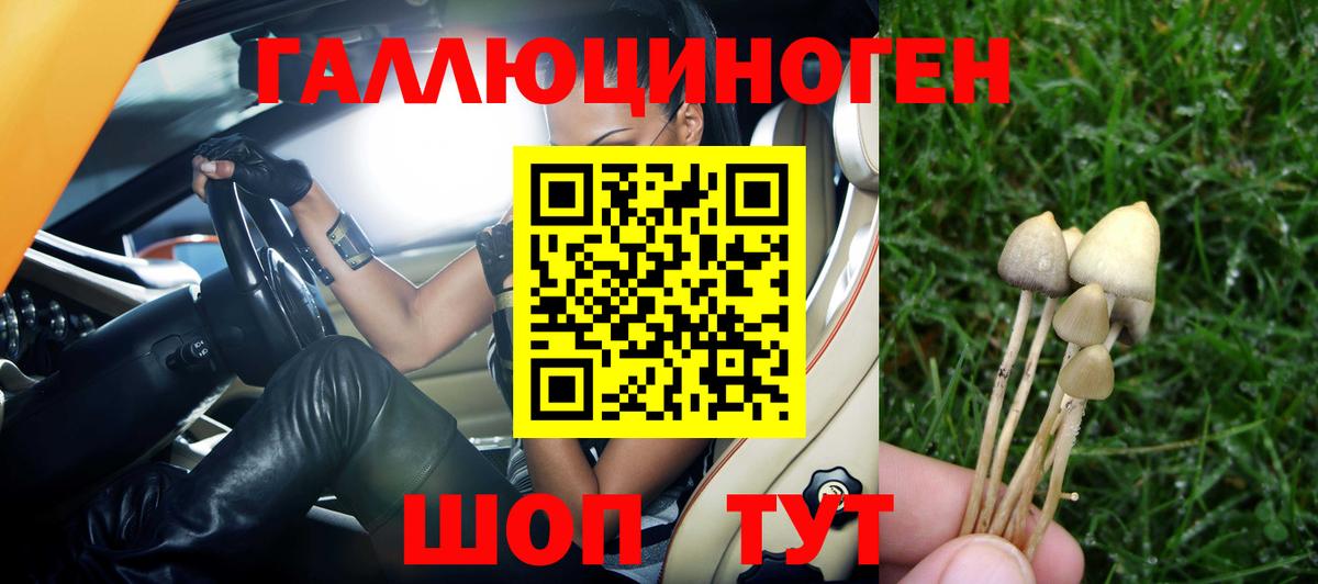 Солнечногорск  Галлюциногенные грибы GOLDEN TEACHER  Галлюциногенные грибы MAGIC MUSHROOMS  Вход с VPN 